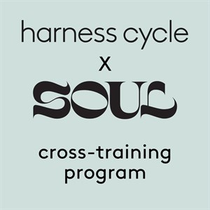 Harness Cycle