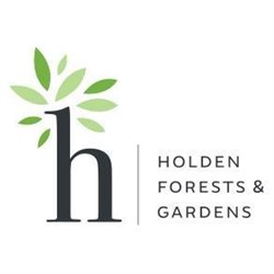Holden Logo 1